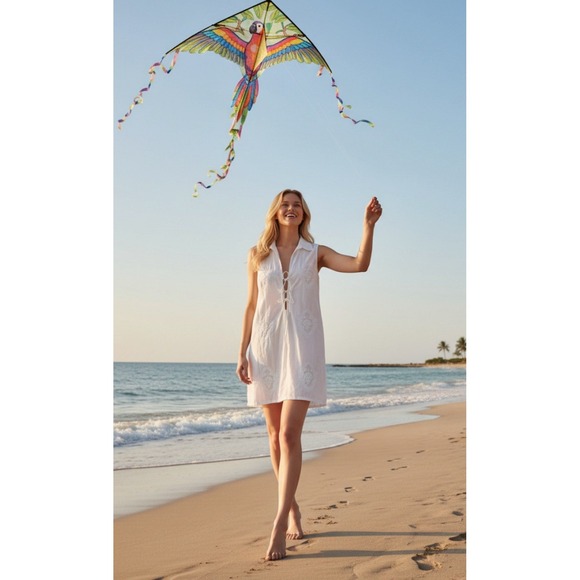 Zara Dresses & Skirts - Zara Poplin Shirt Dress Lace Front V Neck Lapel Collar SZ L  Embroidered